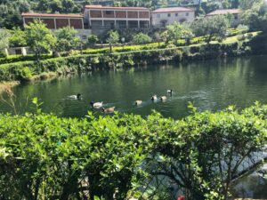 Descubra o Paraíso no Gerês: Quinta de Barbêdo – Turismo Rural